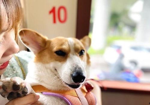 最新娱乐718吃瓜爆料